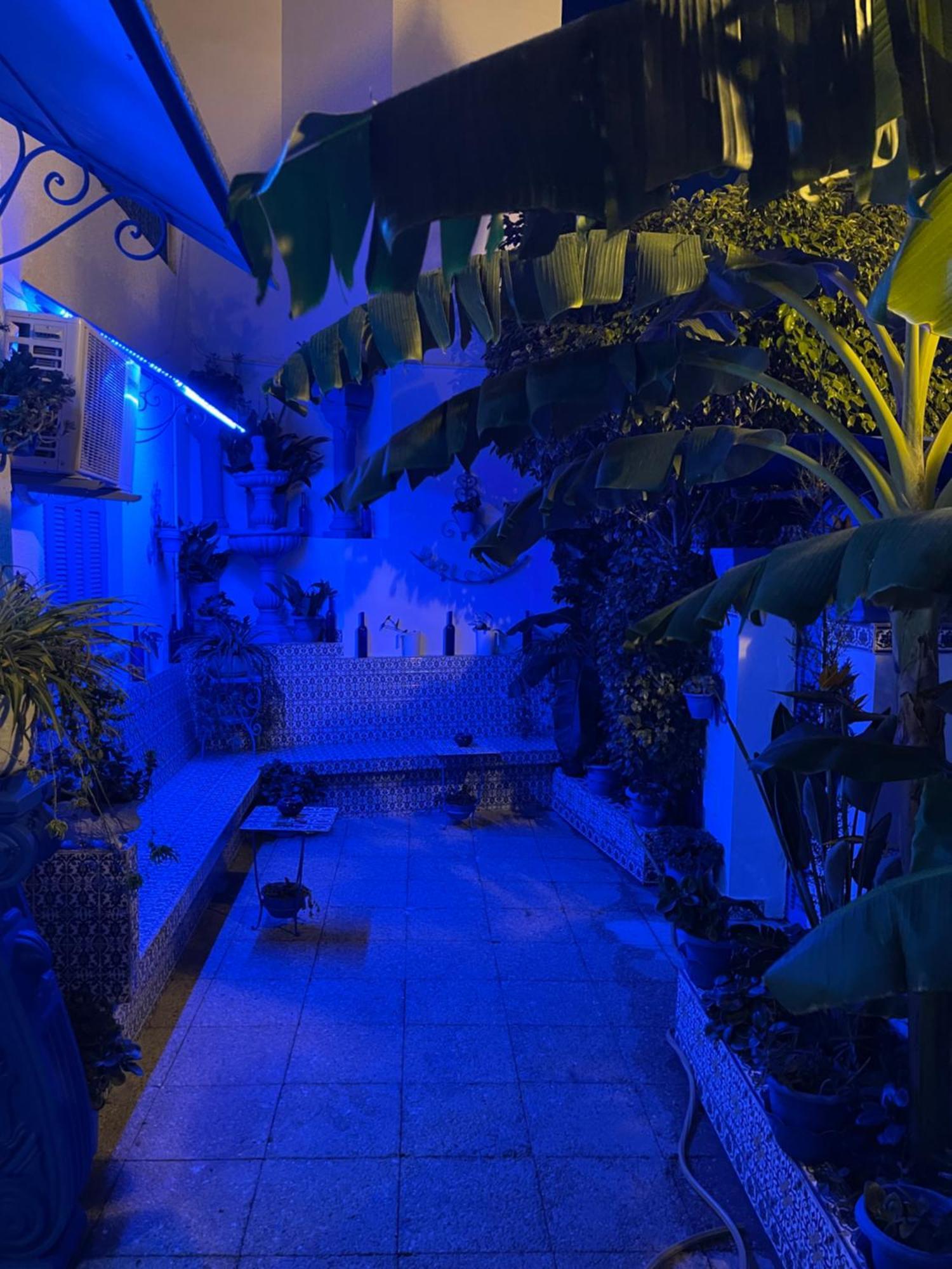Sidi Bou Ali The Blue And White Perleヴィラ エクステリア 写真