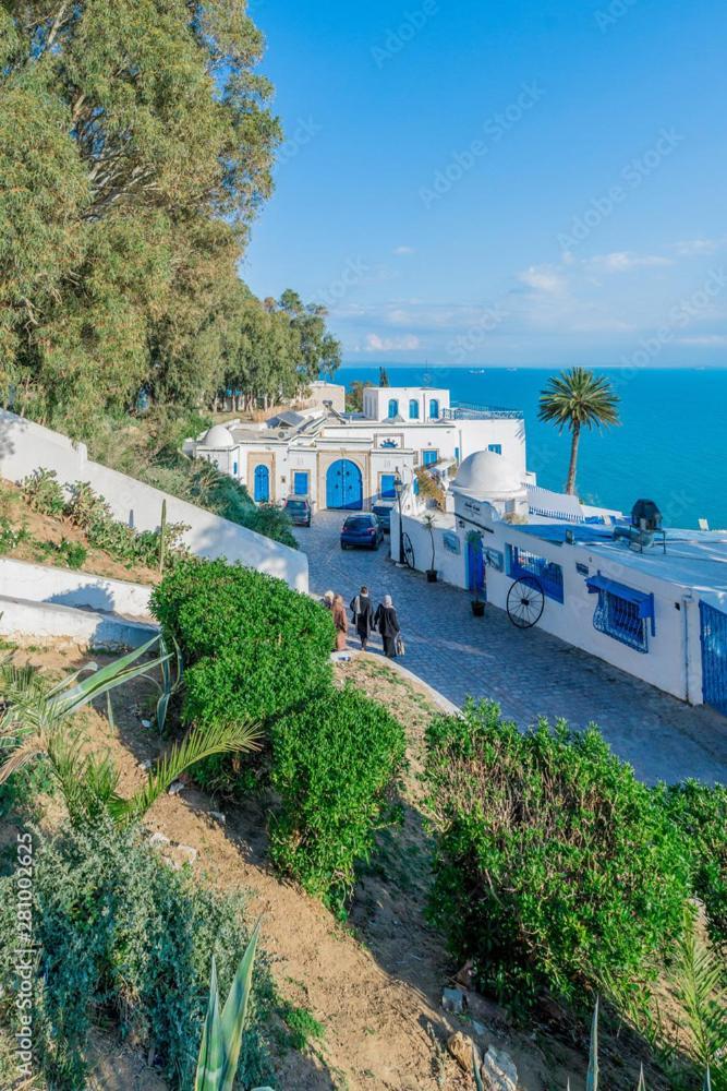 Sidi Bou Ali The Blue And White Perleヴィラ エクステリア 写真