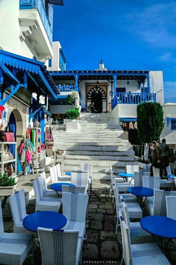 Sidi Bou Ali The Blue And White Perleヴィラ エクステリア 写真