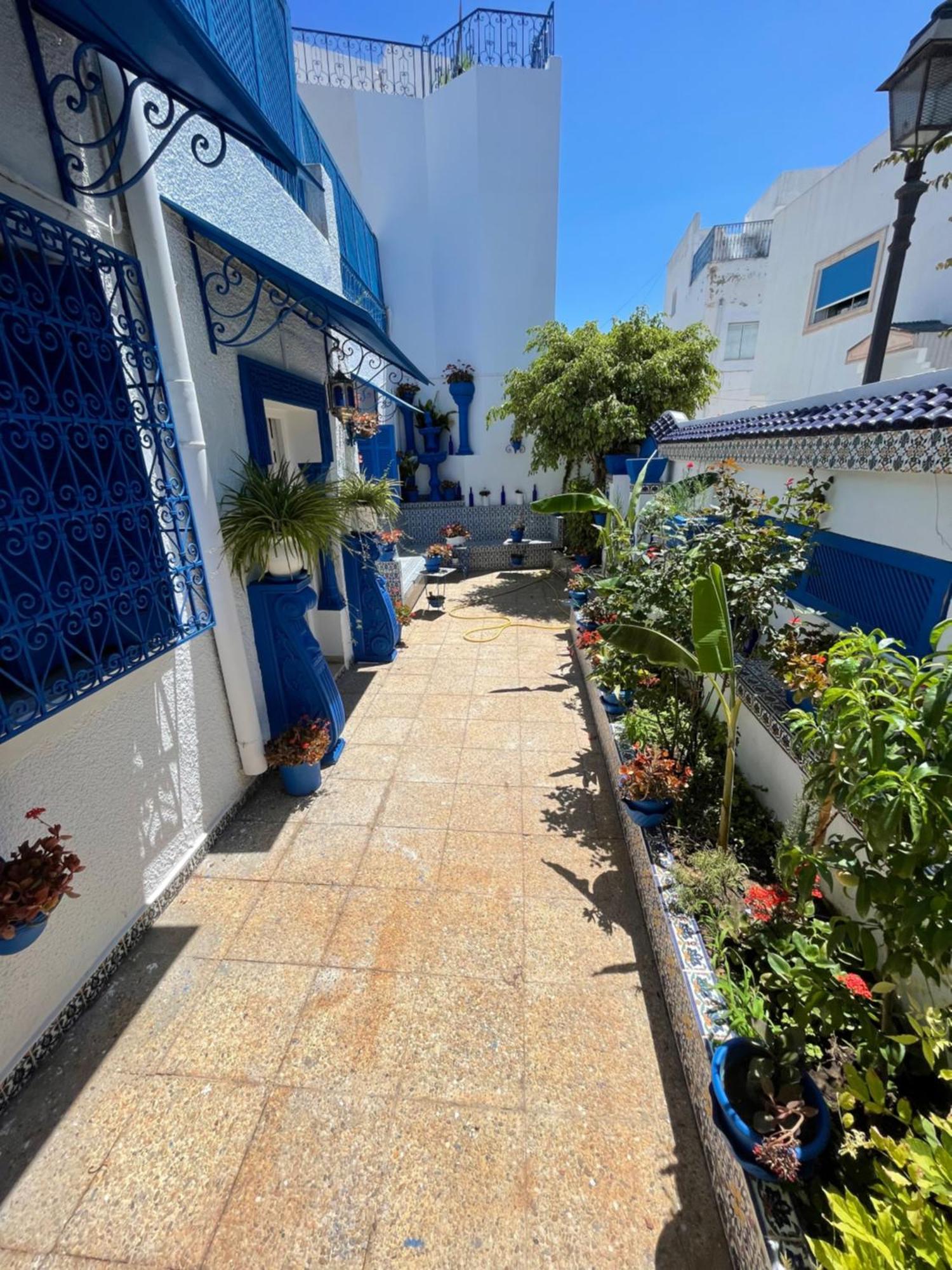 Sidi Bou Ali The Blue And White Perleヴィラ エクステリア 写真