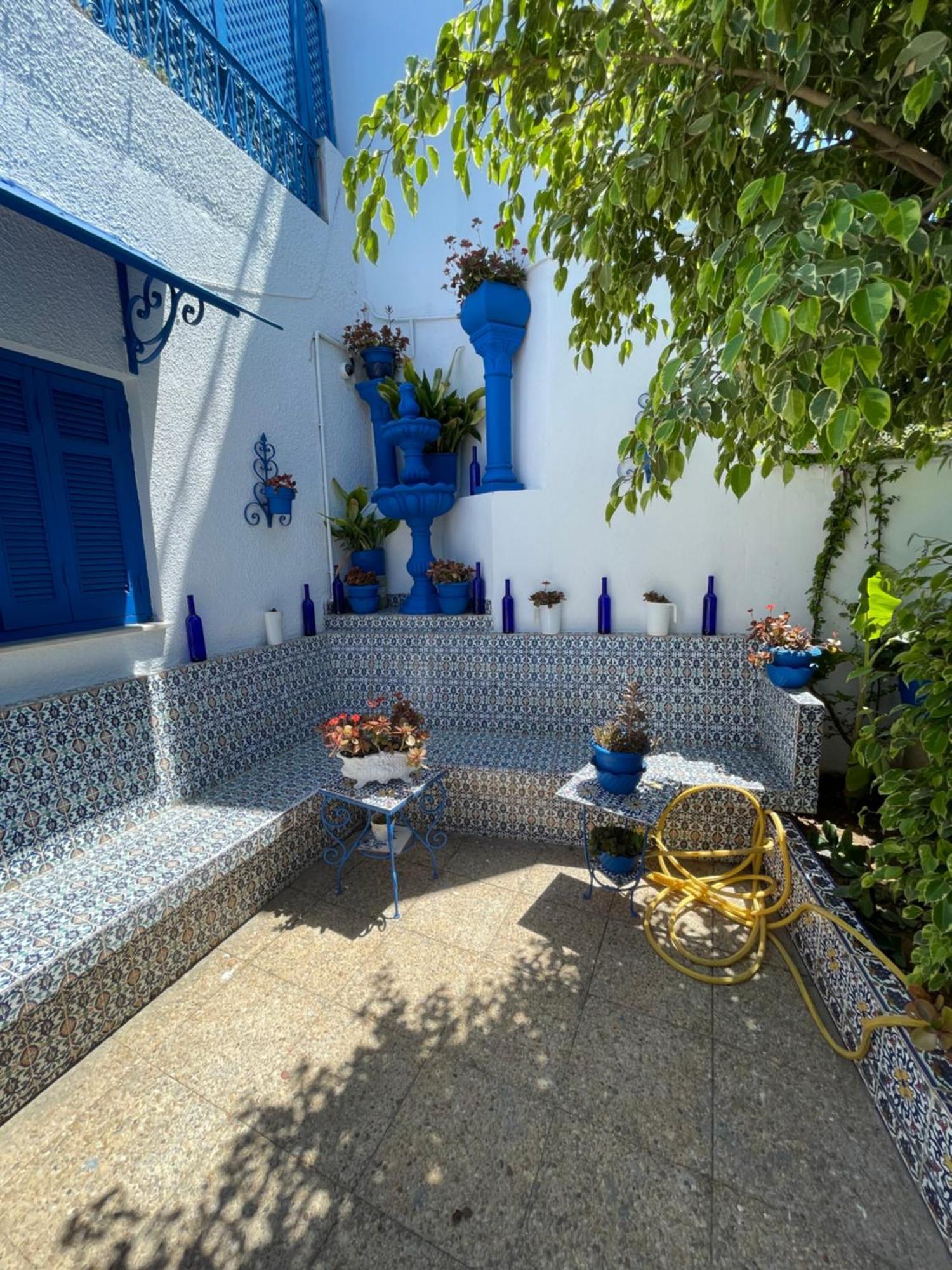 Sidi Bou Ali The Blue And White Perleヴィラ エクステリア 写真